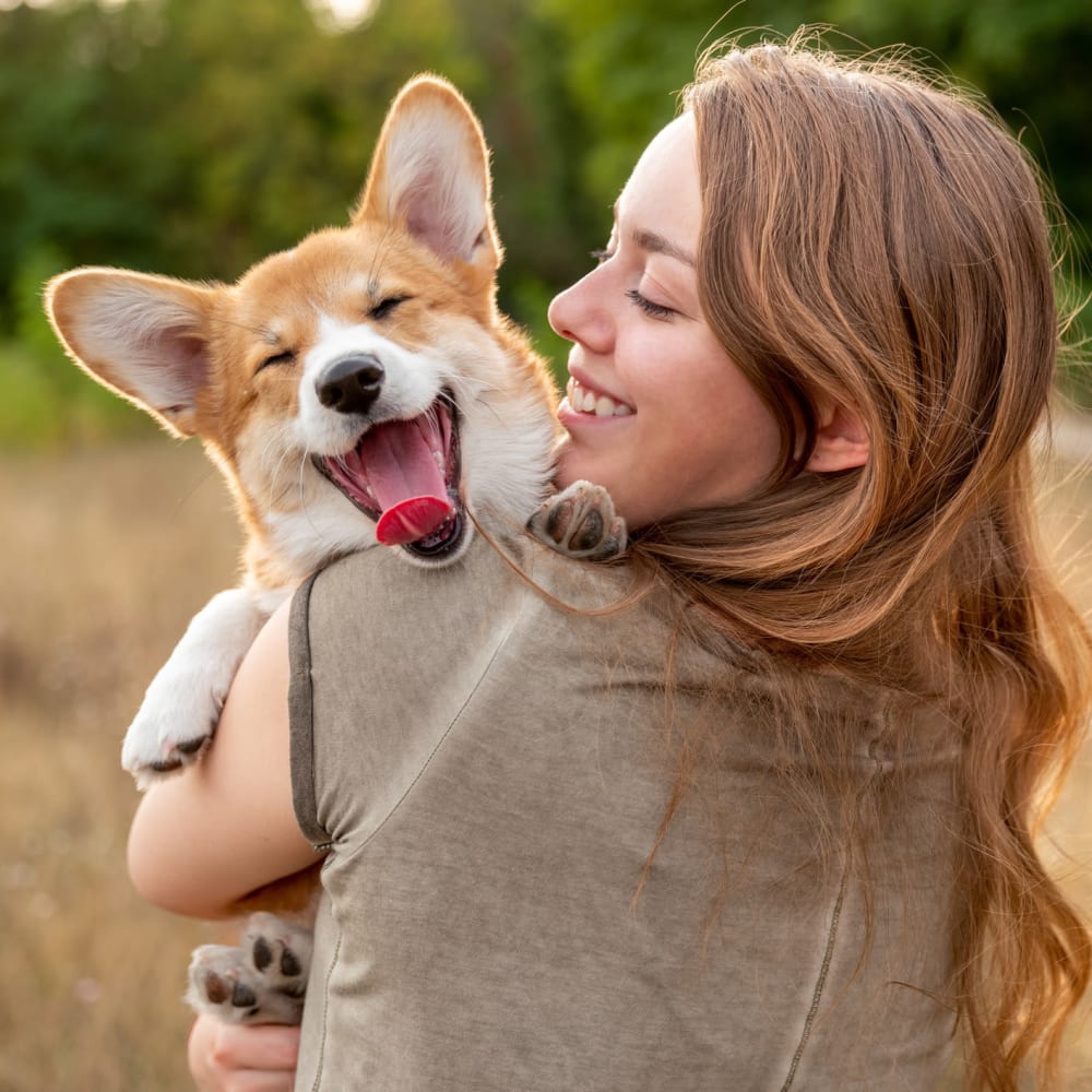 Happy Corgi and her owner outside on a beautiful day at Mission Rock at Sonoma in Sonoma, California