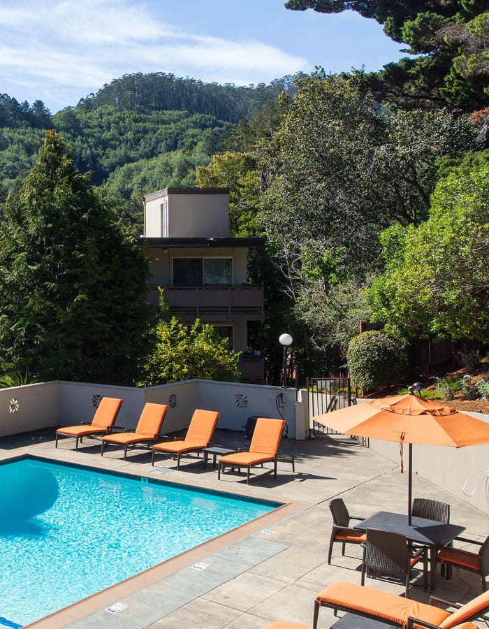 Pool and outdoor seating at Pineridge in Mill Valley, California
