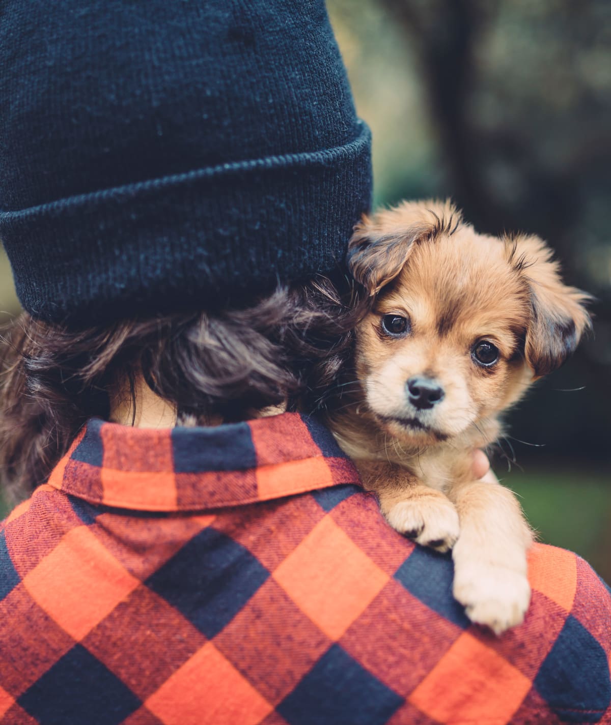 Pet friendly apartments at Alta Easterly in East Walpole