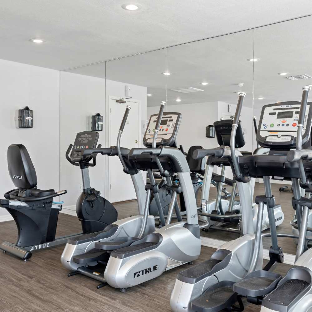 Modern fitness center featuring cardio machines and wood-style flooring with mirrored walls at Carlton Arms North in Tampa, Florida