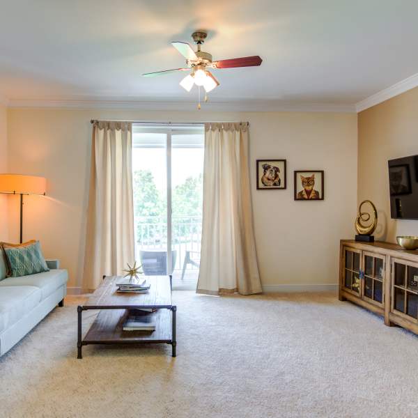 Living room area in an apartment at The Carlton at Greenbrier, Chesapeake, Virginia