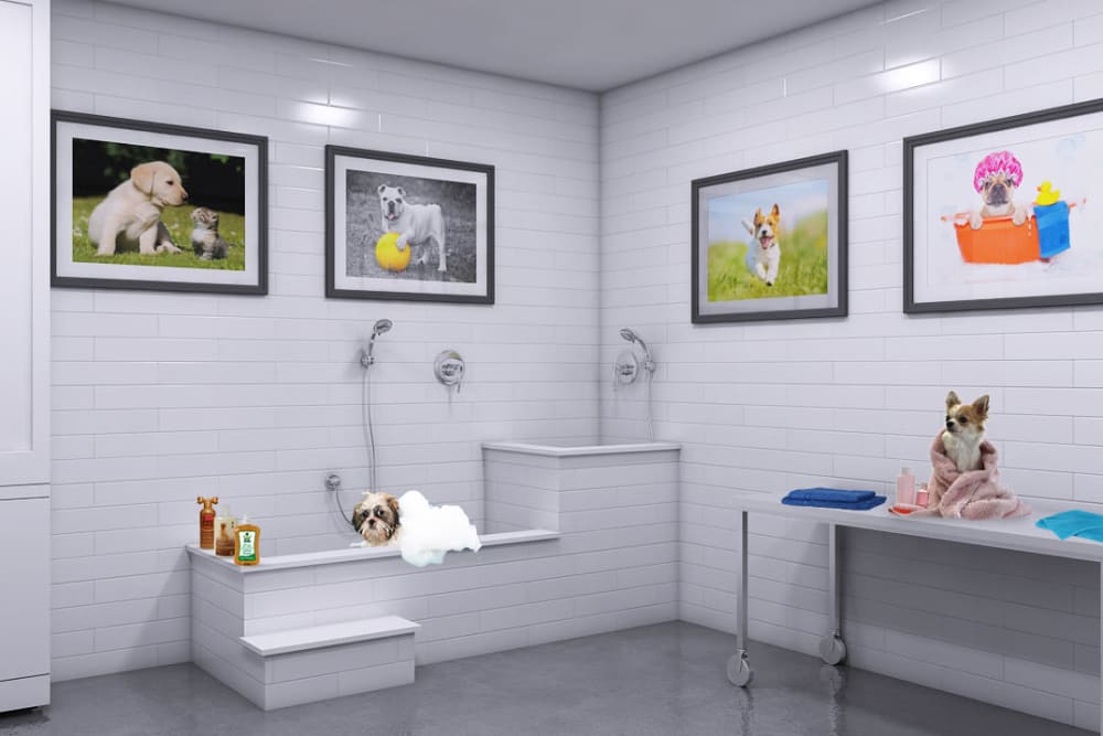 Rendering of Tribeca's onsite dog washing station in Saint Louis, Missouri