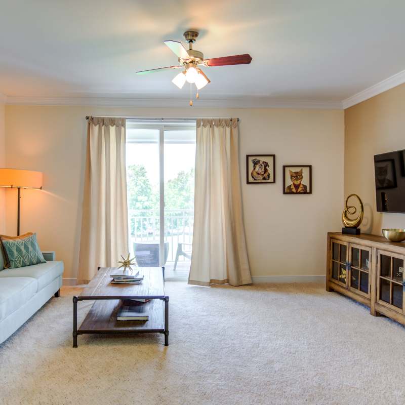 Model apartment with sofa and tv at The Carlton at Greenbrier, Chesapeake, Virginia