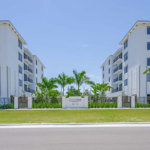 Palm trees in the courtyard between apartment buildings at Countyline Apartments in Miami, Florida