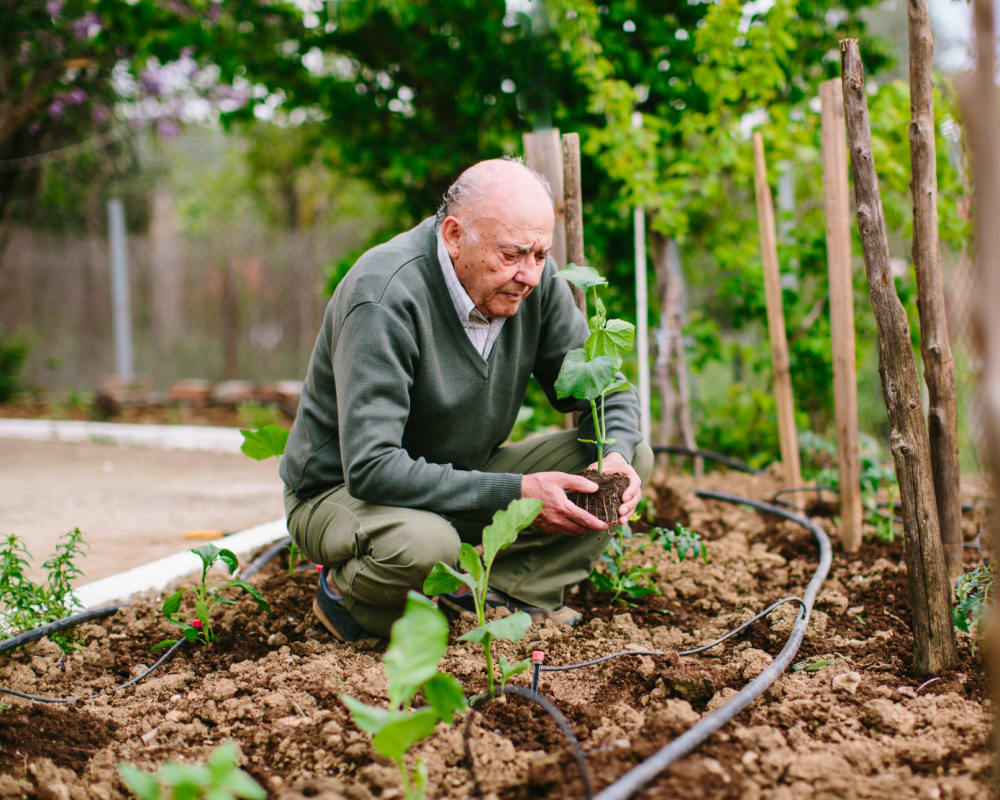 A resident gardening at Flower Mound Assisted Living in Flower Mound, Texas