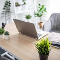 A laptop on a desk with plants in a home office at Windsor Park in Woodbridge, Virginia