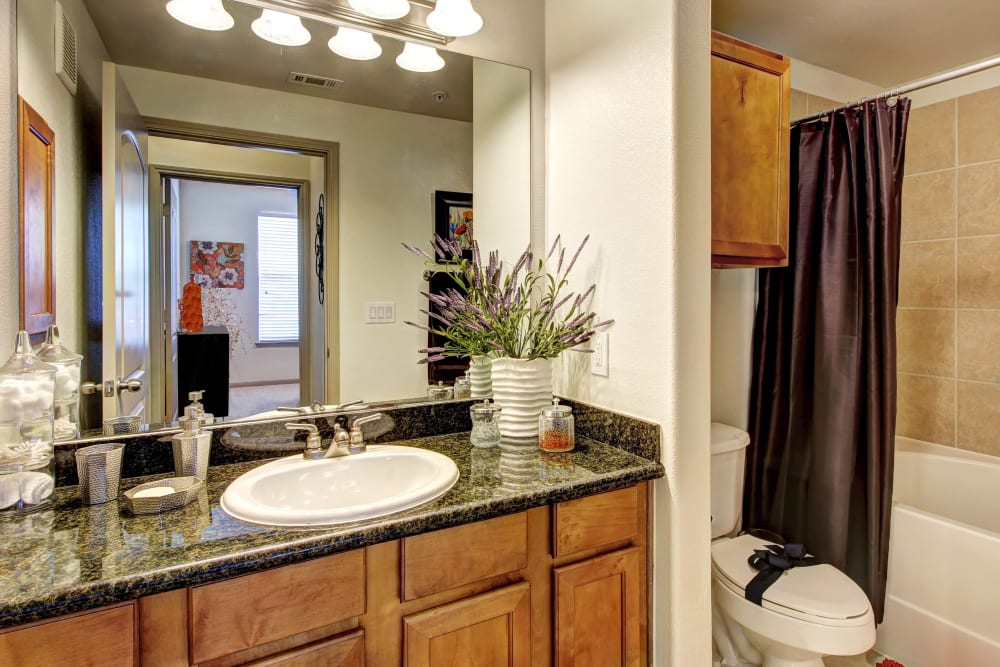Marquis at The Woodlands offers a Bathroom with storage in Spring, Texas
