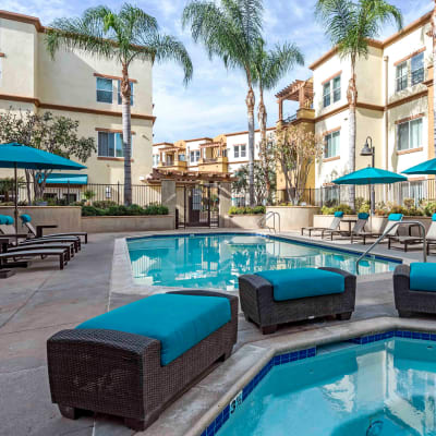 Spa and swimming pool area surrounded by palm trees at Sofi at Topanga Canyon in Chatsworth, California