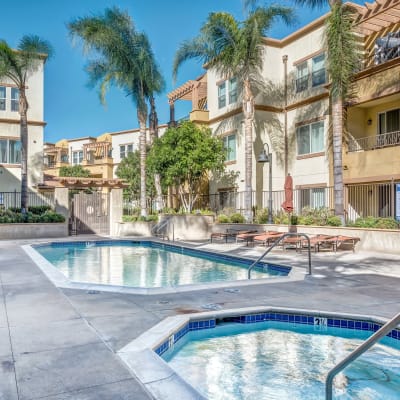 Spa and swimming pool area surrounded by palm trees at Sofi at Topanga Canyon in Chatsworth, California