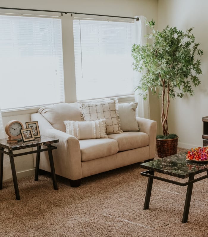 Spacious living room with large windows at Regency Point Apartments in Tulsa, Oklahoma