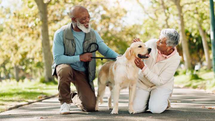 Senior couple walking their dog outdoors on a sunny day, enjoying an active and healthy lifestyle.