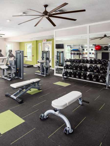 Community amenities at Shadetree Apartments in Ruskin, Florida