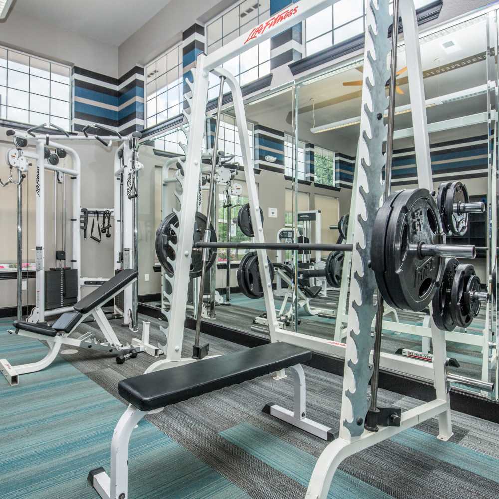 Bench press at Panorama at Arvada Ridge in Arvada, Colorado