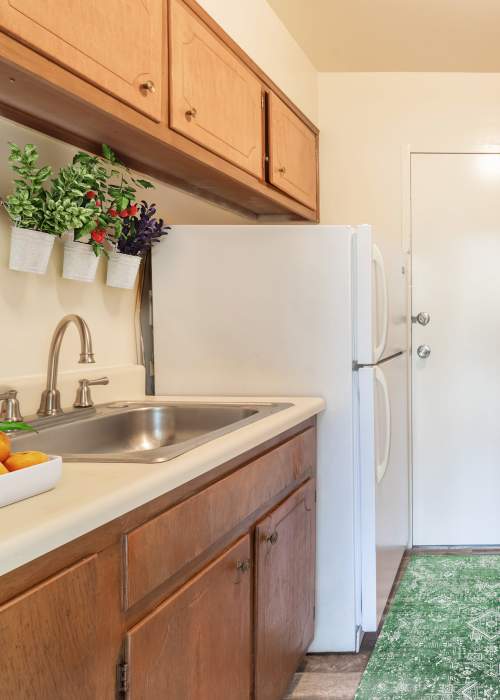 view Floor Plans at Three Chopt West Apartments in Henrico, Virginia