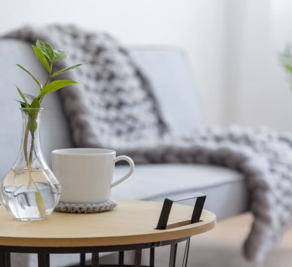 A bright apartment living room with a couch and side table with a plant at Cypress McKinney Falls in Austin, Texas 