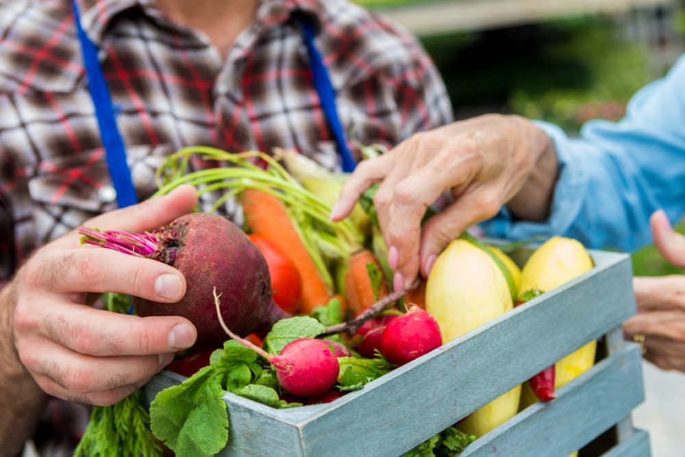 You'll never be bored with the shopping and entertainment around The Heights at Spring Lake