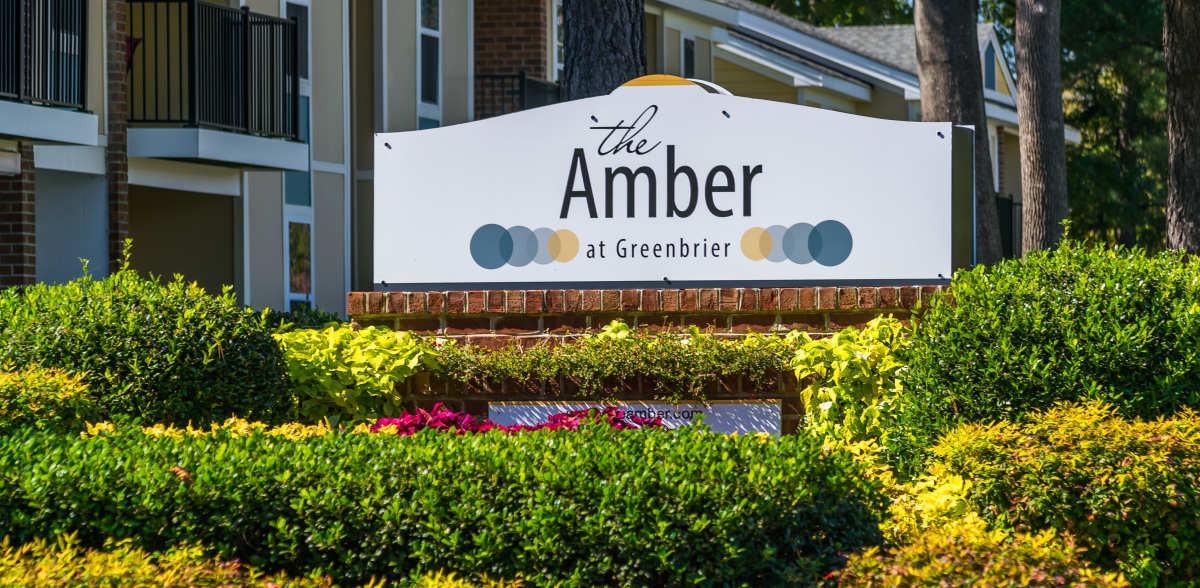 The Amber at Greenbrier, Chesapeake, Virginia