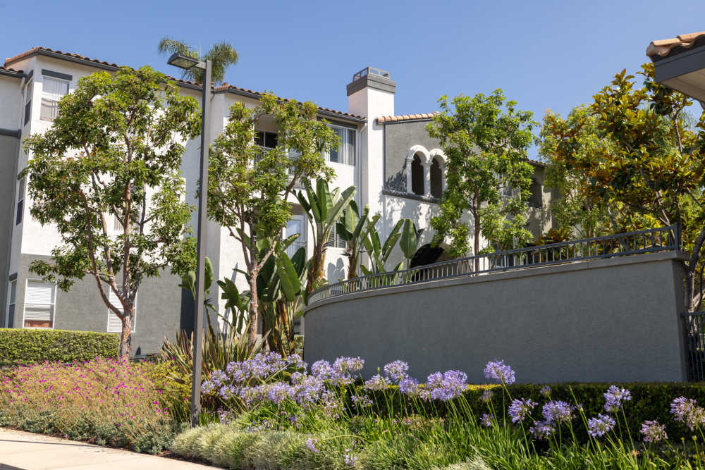 Beautiful modern exterior of Alize at Aliso Viejo Apartment Homes in Aliso Viejo, California