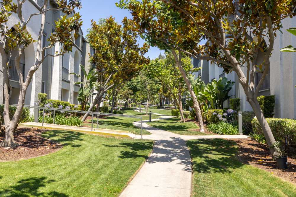 Beautifully manicured walkway at Alize at Aliso Viejo Apartment Homes in Aliso Viejo, California
