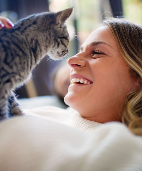 Resident enjoying her home with her kitten at Brio Apartment Homes in Glendale, California