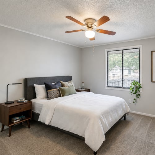 Model bedroom with ceiling fans and lots of natural light at Live Port Richey in New Port Richey, Florida