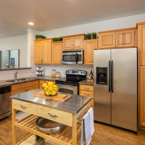 Stainless-steel appliances in the kitchen at The Fleetwood in Tempe, Arizona
