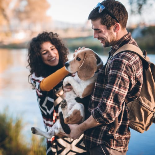 Residents and a dog in a park near Gold Coast in Patuxent River, Maryland