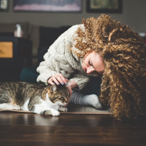 A resident petting a cat in a home at Perry Circle Apartments in Annapolis, Maryland