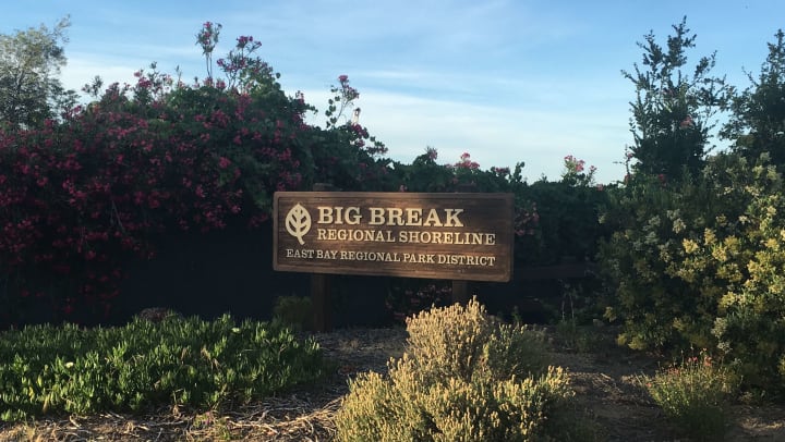 Big Break Regional Shoreline