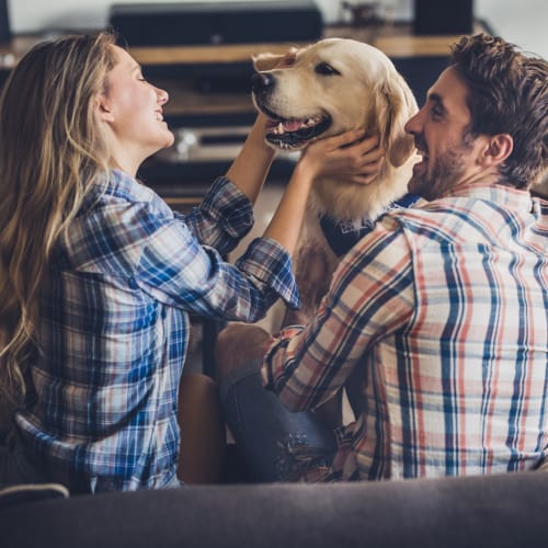 A couple playing with their dog at Bard Estates in Port Hueneme, California