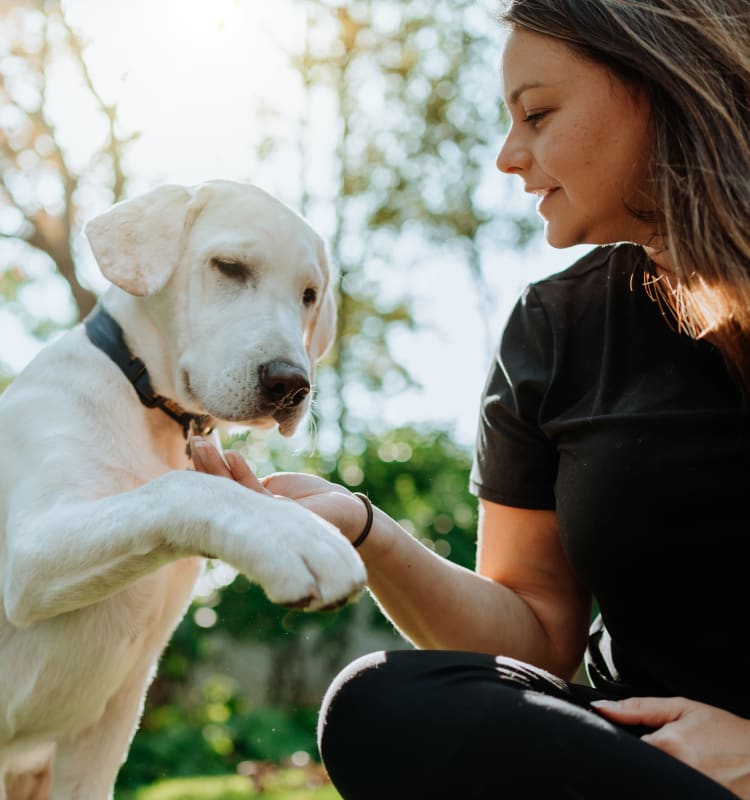 Resident spending time with her puppy in a park near The Residences at Lakehouse in Miami Lakes, Florida