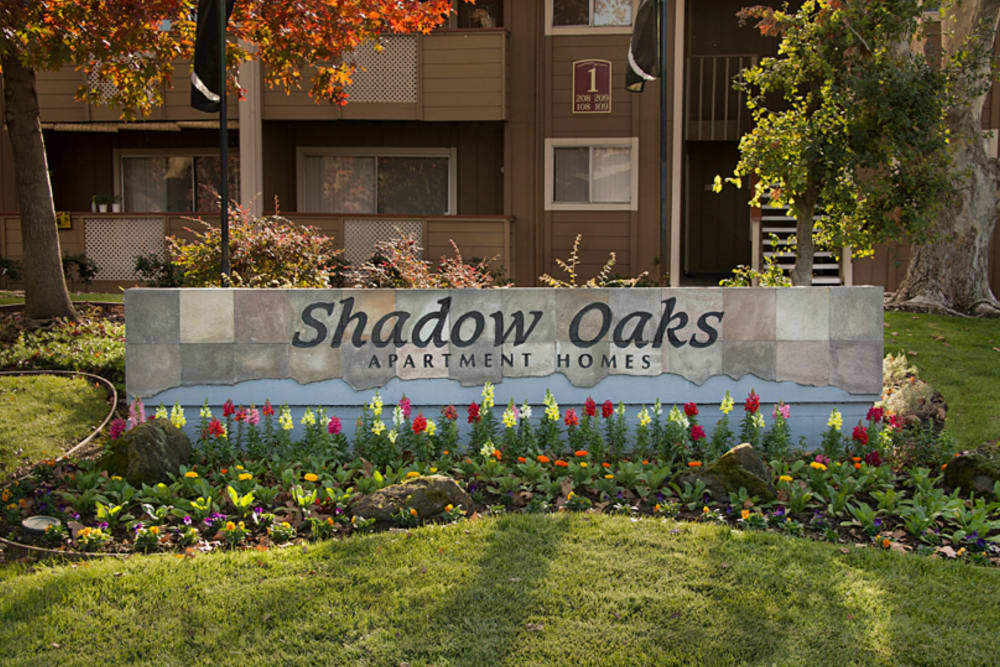 Beautiful landscaped location at Shadow Oaks Apartment Homes in Cupertino, California