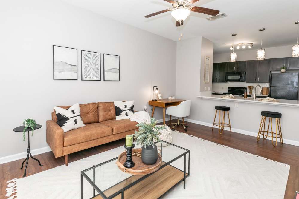 Living room area at Thomaston Crossing in Macon, Georgia