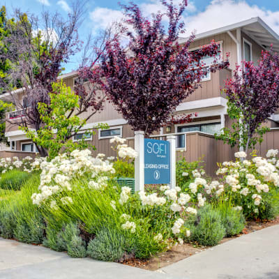 Lush landscaping throughout the neighborhood at Sofi Berryessa in San Jose, California