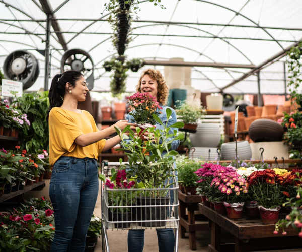Resident buying flower near Gallatin Flats in Gallatin, Tennessee 