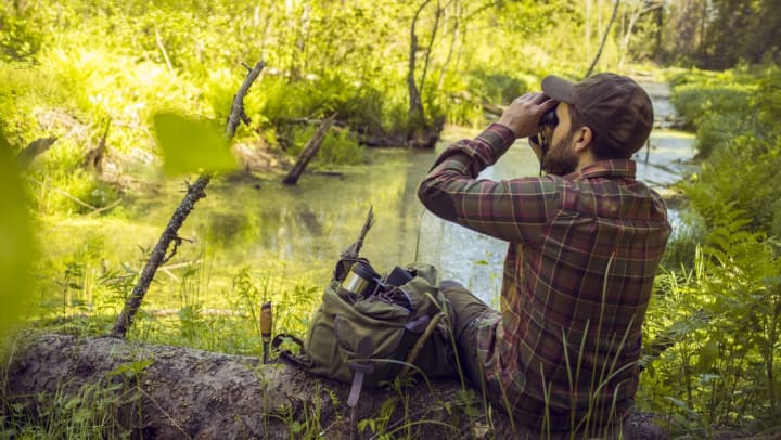 Man using binoculars while bird-watching in a forest | bird-watching in San Diego