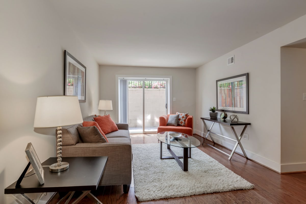 Very cute living room with a nice area rug in the center at Takoma Flats in Washington, District of Columbia