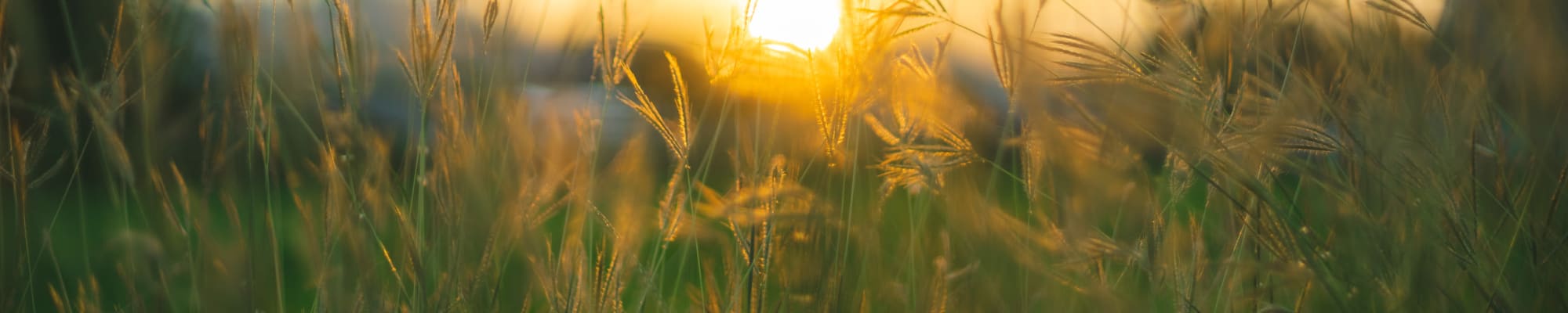 Life enrichment and wellness at Touchmark on West Century in Bismarck, North Dakota