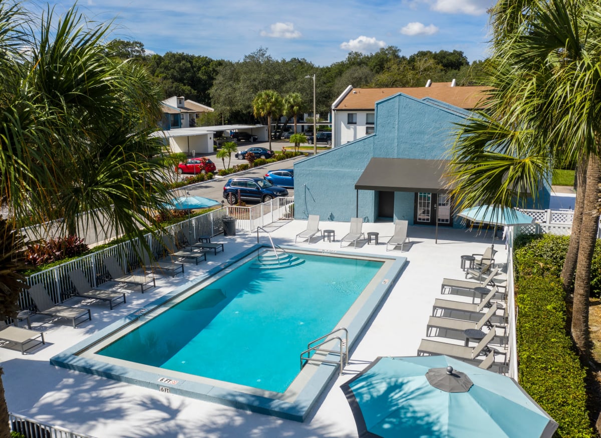 A sparkling pool at Westwood @60 in Brandon, Florida