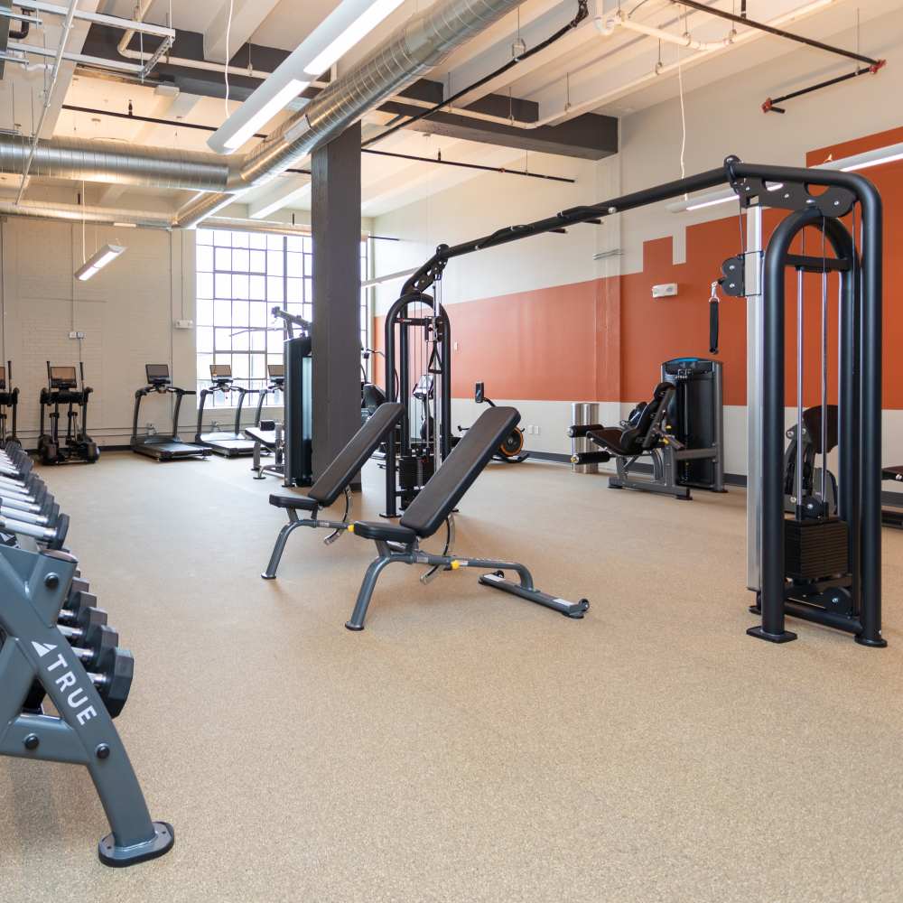 Fitness center with dumbell weights and strength machines at Mojud Lofts in Greensboro, North Carolina