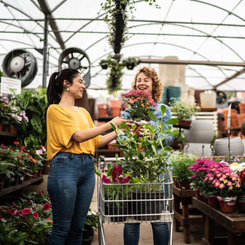 Two women browse colorful flowers in a vibrant flower shop at Central West End Apartments in Saint Louis, Missouri