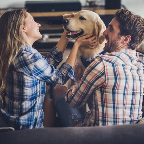 A happy couple playing with their dog at Town Center in Joint Base Lewis McChord, Washington