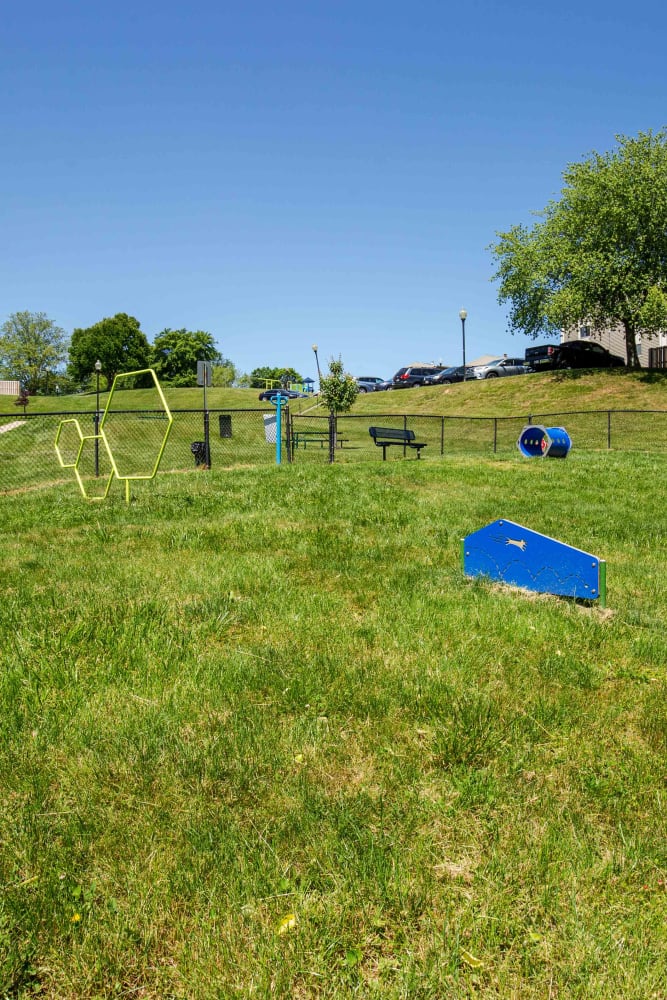 Fenced in dog park with agility course at Morningside Apartments & Townhomes in Owings Mills, Maryland