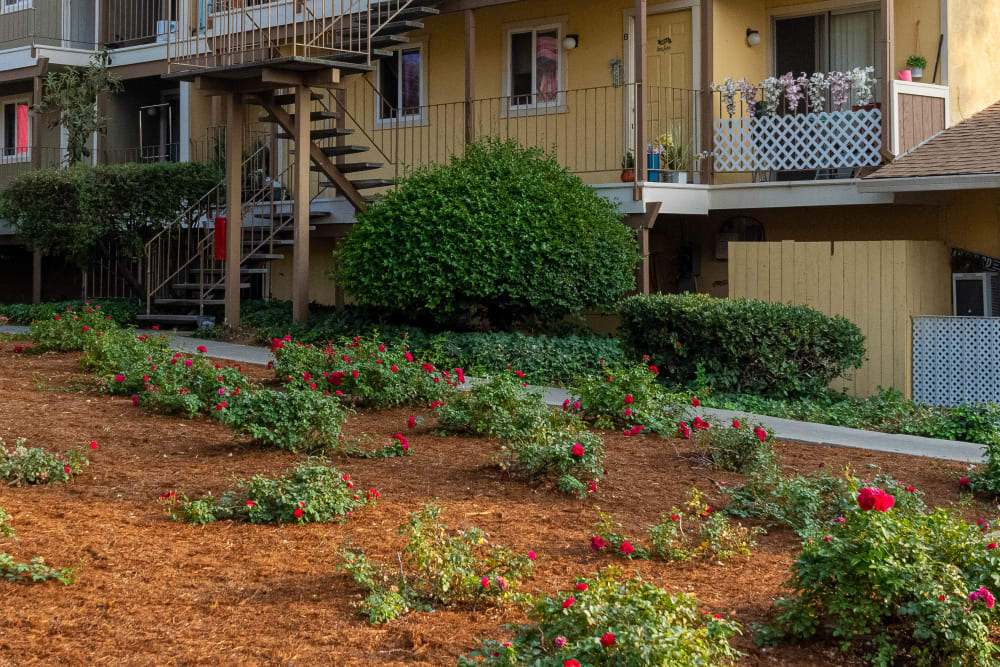 Courtyard at Alderwood Park Apartment Homes in Livermore, California