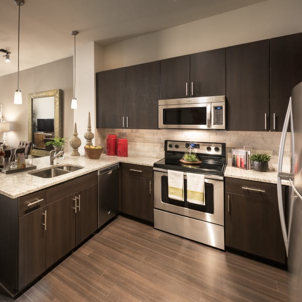Stainless-Steel appliances in luxury kitchen at Emerson Mill Avenue in Tempe, Arizona