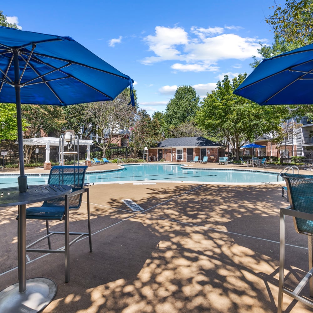 Pool deck  at Mode at Owings Mills in Owings Mills, Maryland