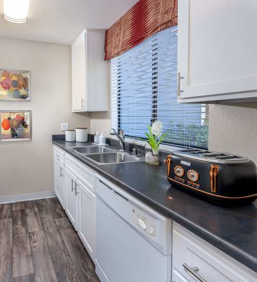 Dishwasher in apartment kitchen at Amber Court in Fremont, California,