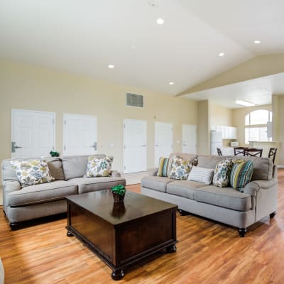 A furnished living room at Forster Hills in Oceanside, California