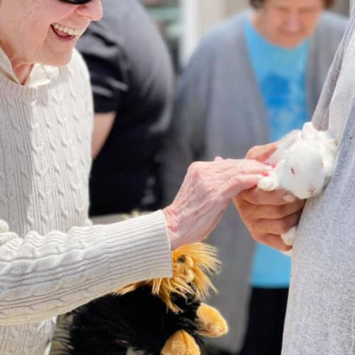 Resident interacting with a bunny at Oxford Glen Memory Care at Owasso in Owasso, Oklahoma