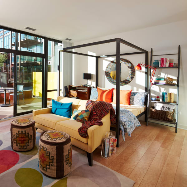 Hardwood floors and bay windows in model home at Domus in Phoenix, Arizona